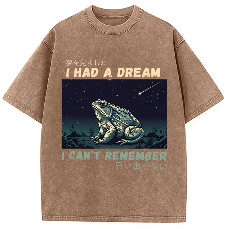 Modecanvas I Had A Dream Toad DTG Printing Washed T-Shirt