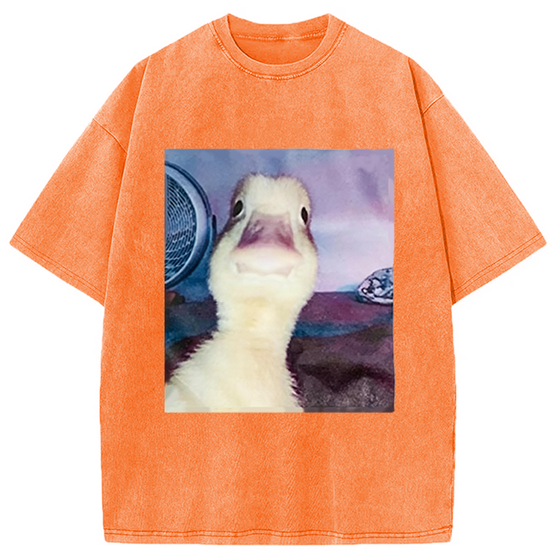 Modecanvas Duck Stare Funny Meme DTG Printing Washed T-Shirt