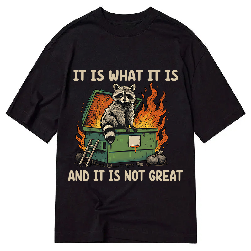 Modecanvas It Is What It Is Dumpster Fire Funny Raccoon Meme DTG Printing Classic T-Shirt-modecanvas