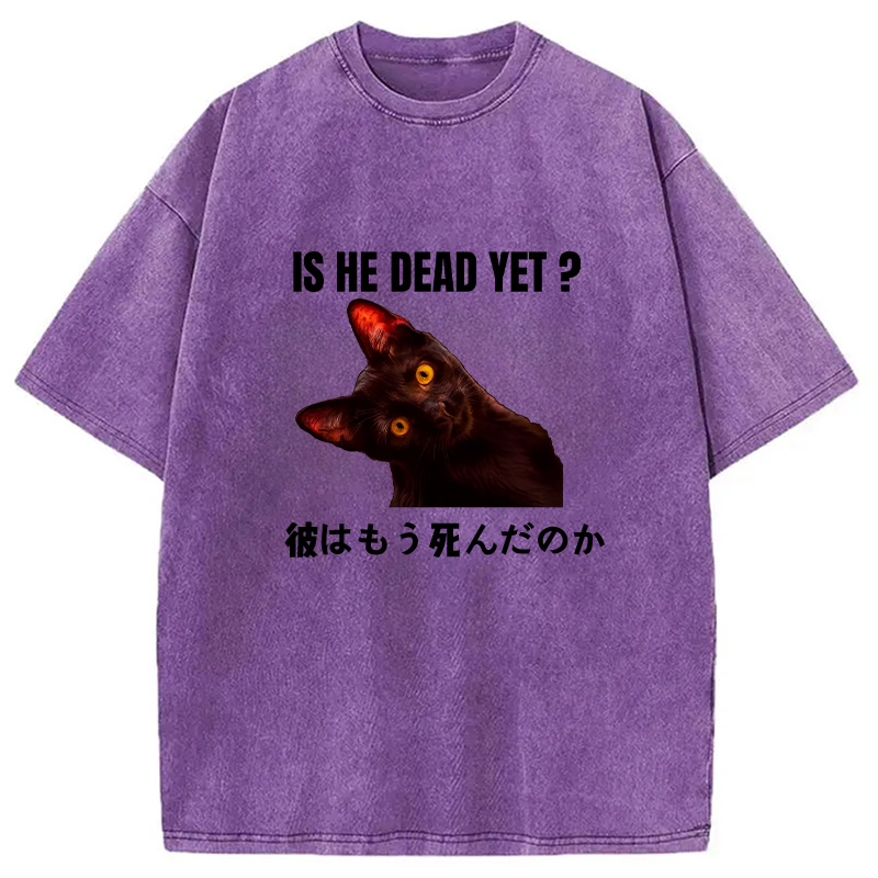 Modecanvas Is He Dead Yet Washed T-Shirt