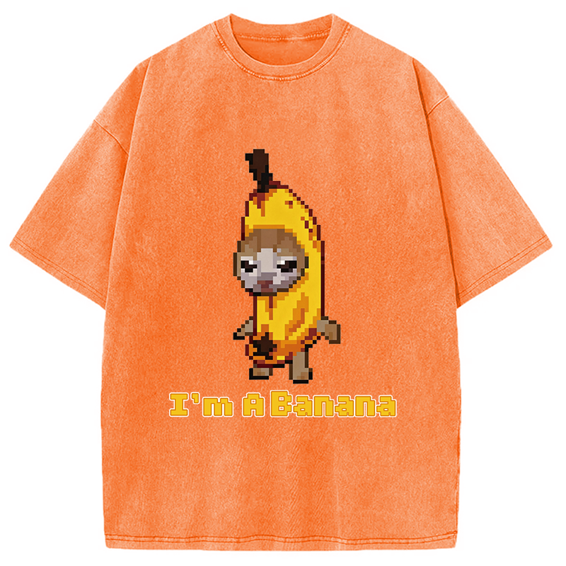 Modecanvas Banana Cat DTG Printing Washed T-Shirt