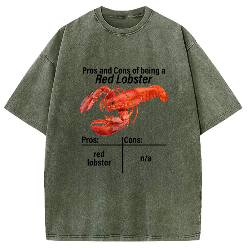 Modecanvas Pros And Cons Washed T-Shirt