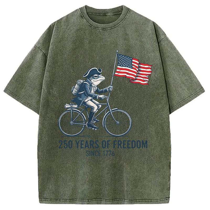 Modecanvas American 250th Anniversary Funny Frog DTG Printing Washed T-Shirt