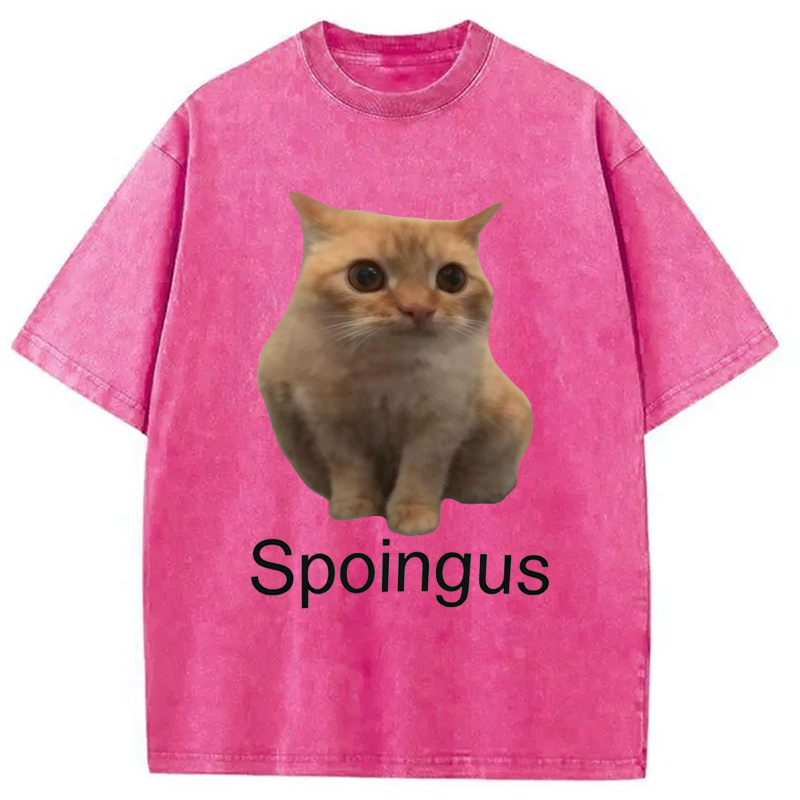 Modecanvas Spoingus The Cat Meme DTG Printing Washed T-Shirt