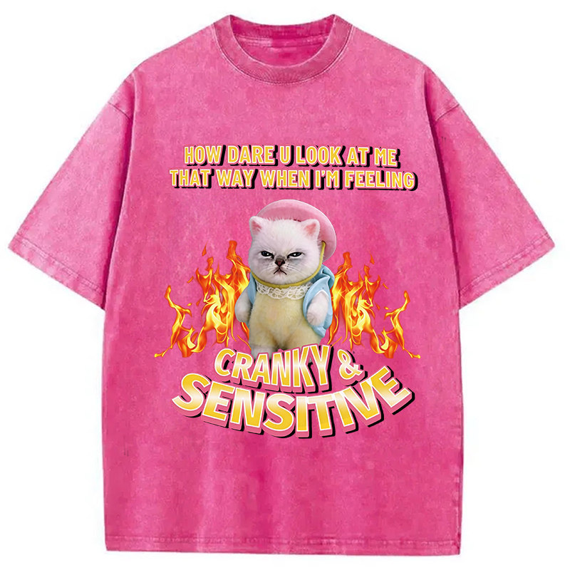 Modecanvas Cranky Kitty DTG Printing Washed T-Shirt