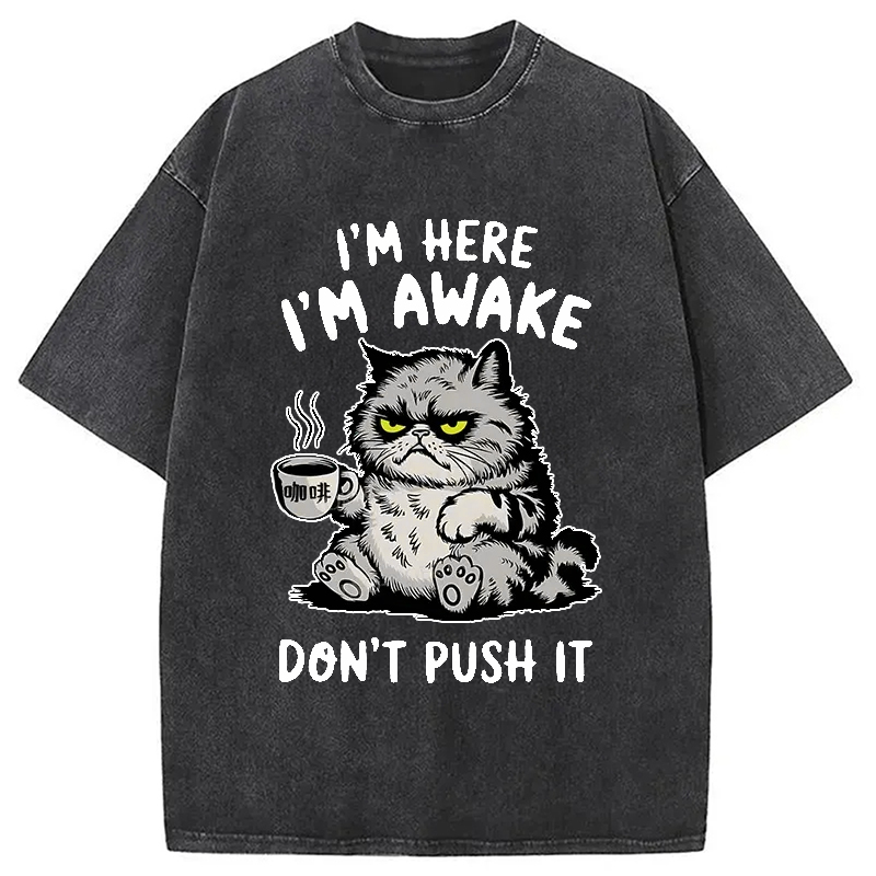 Modecanvas Tired Cat Washed T-Shirt