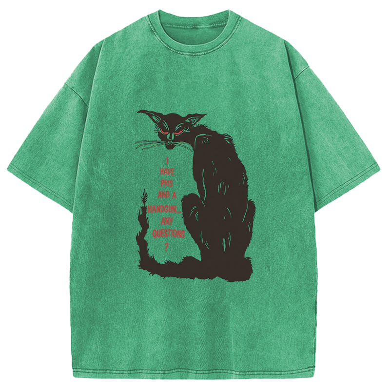 Modecanvas I Have PMS And A Handgun Any Questions? DTG Printing Washed T-Shirt