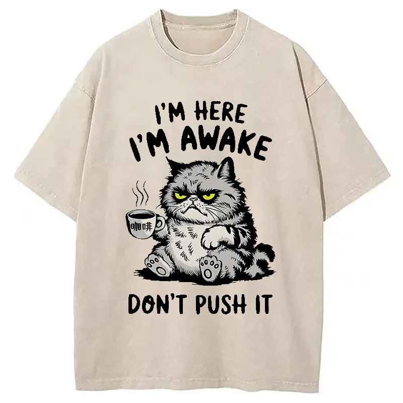 Modecanvas Tired Cat Washed T-Shirt