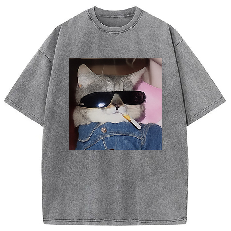 Modecanvas Funny Smoking Cat Meme Washed T-Shirt
