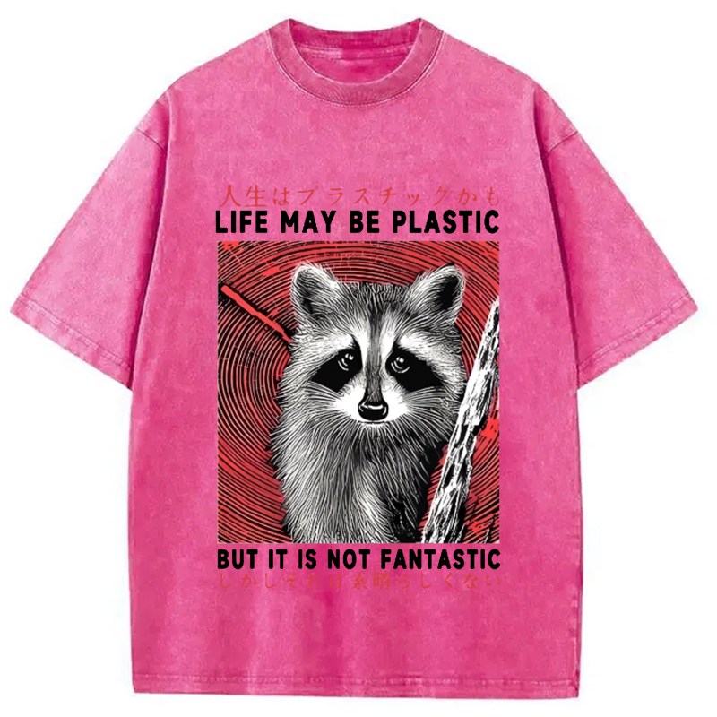 Modecanvas Raccoon Vintage Japanese Washed T-Shirt