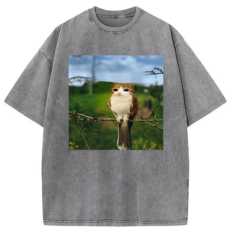 Modecanvas Funny Cat Owl Meme DTG Printing Washed T-Shirt