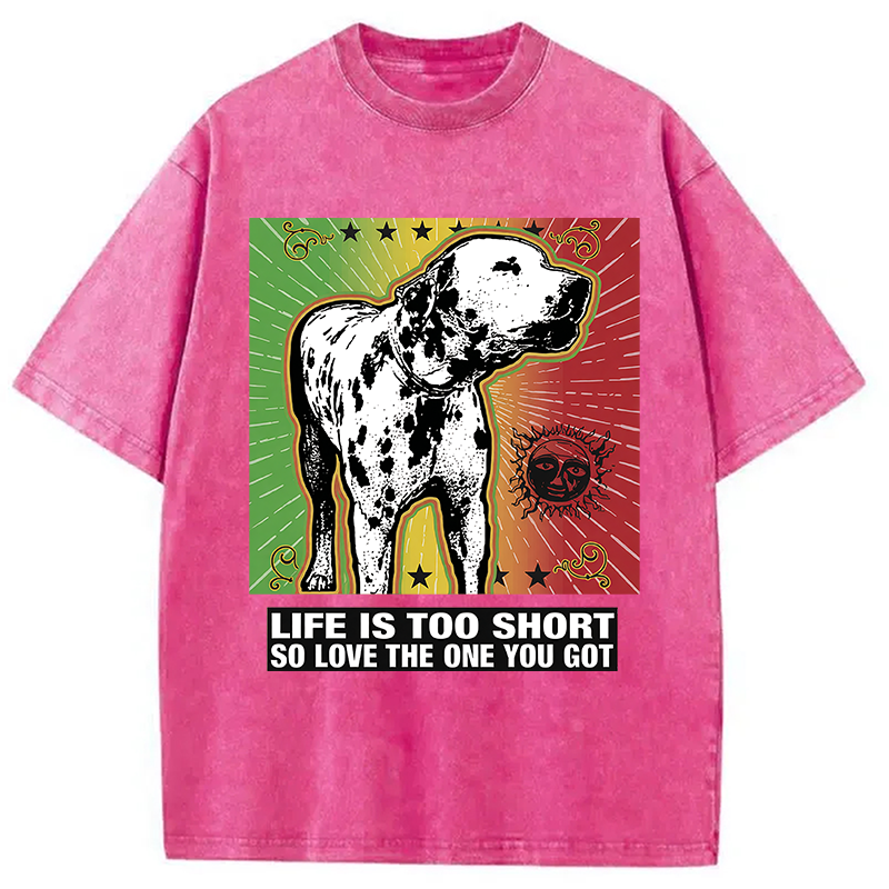 Modecanvas Life Is Too Short So Love The One You Got DTG Printing Washed T-Shirt