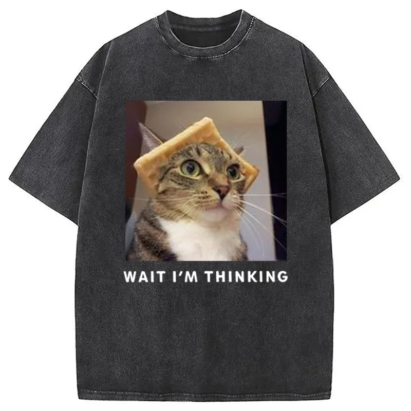Modecanvas Wait Im Thinking Meme Washed T-Shirt