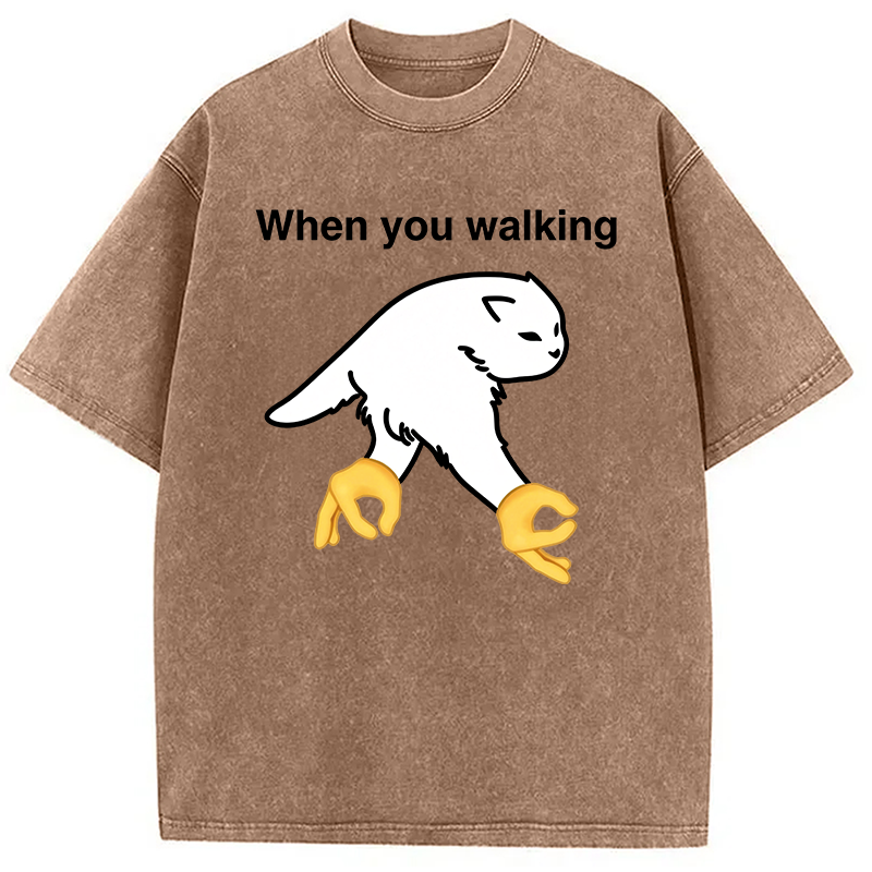 Modecanvas When You Walking Cursed Cat Meme DTG Printing Washed T-Shirt