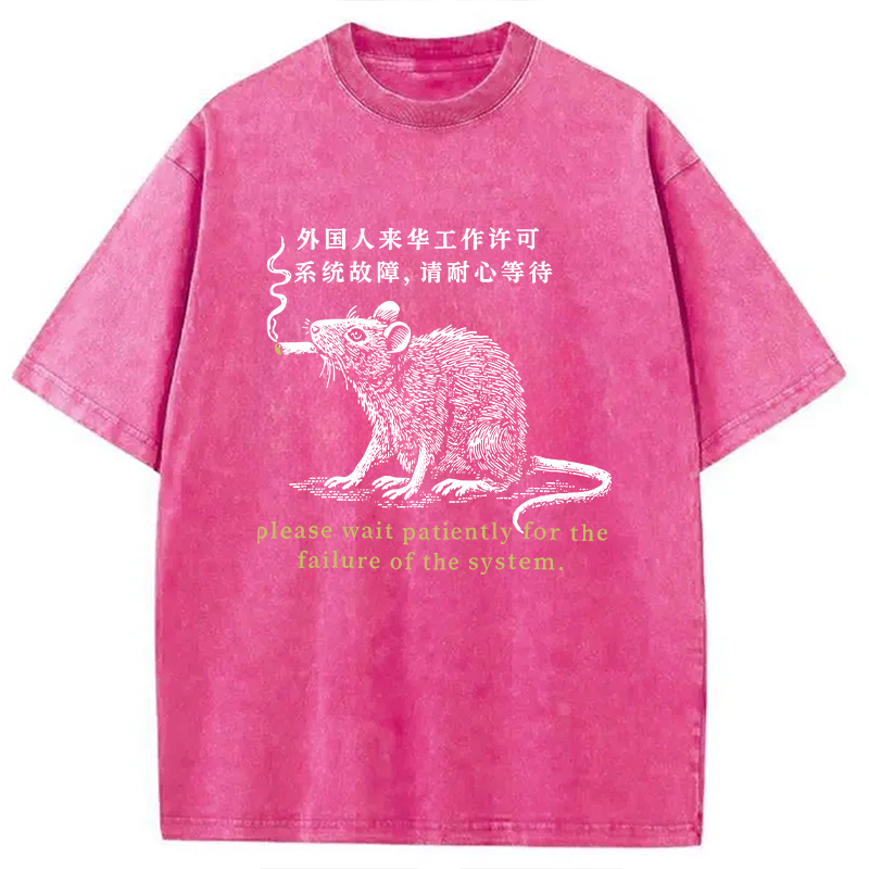 Modecanvas Travel Permit Washed T-Shirt