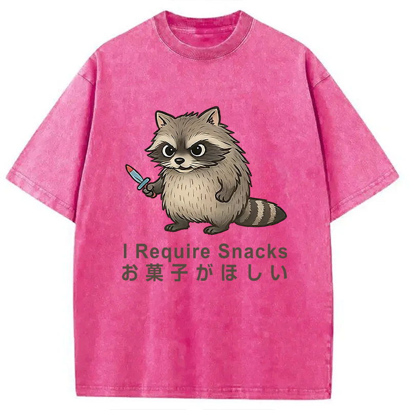 Modecanvas Raccoons Need Snacks Funny Washed T-Shirt
