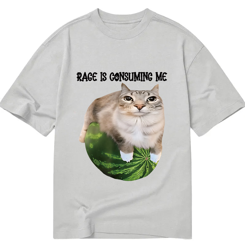 Modecanvas Rage Is Consuming Me Cat Meme DTG Printing Classic T-Shirt-modecanvas