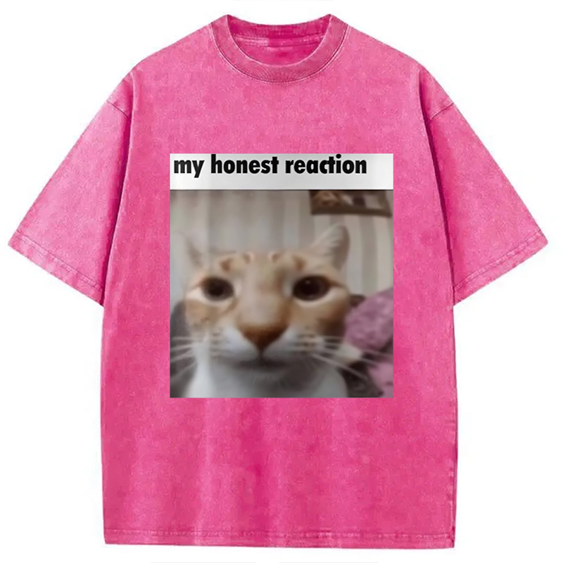 Modecanvas My Honest Reaction Cat Meme Washed T-Shirt