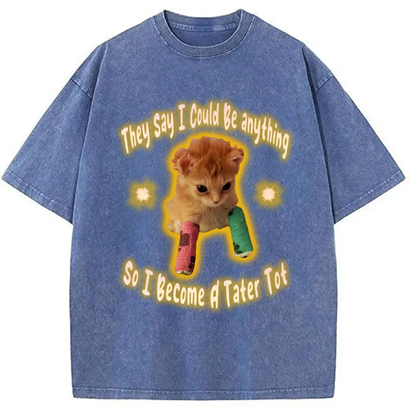 Modecanvas Tater Tot Cat Funny Meme Washed T-Shirt