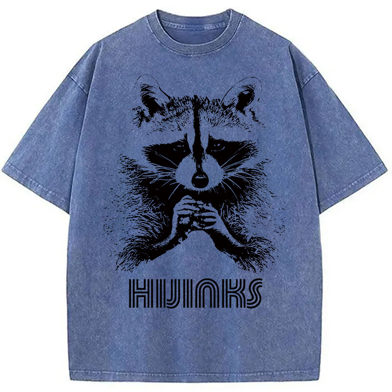 Modecanvas Raccoon Hijinks Washed T-Shirt