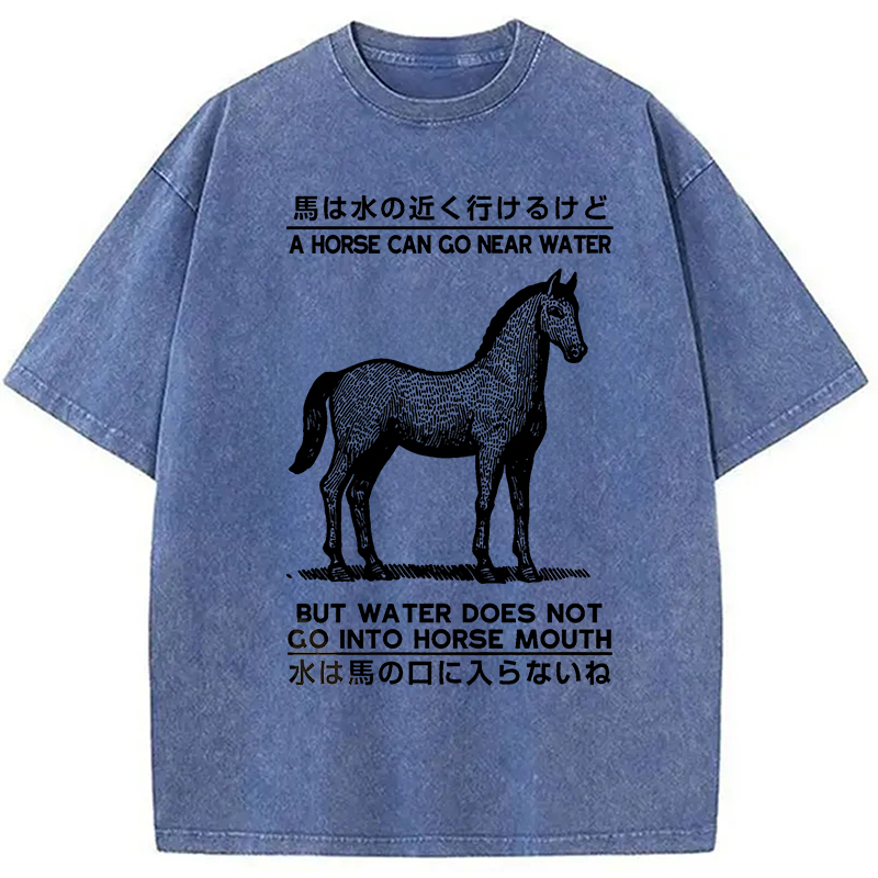 Modecanvas Funny Horse And Water Saying Washed T-Shirt