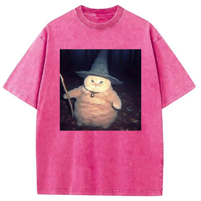 Modecanvas Wizard Cat Funny Halloween Washed T-Shirt-modecanvas