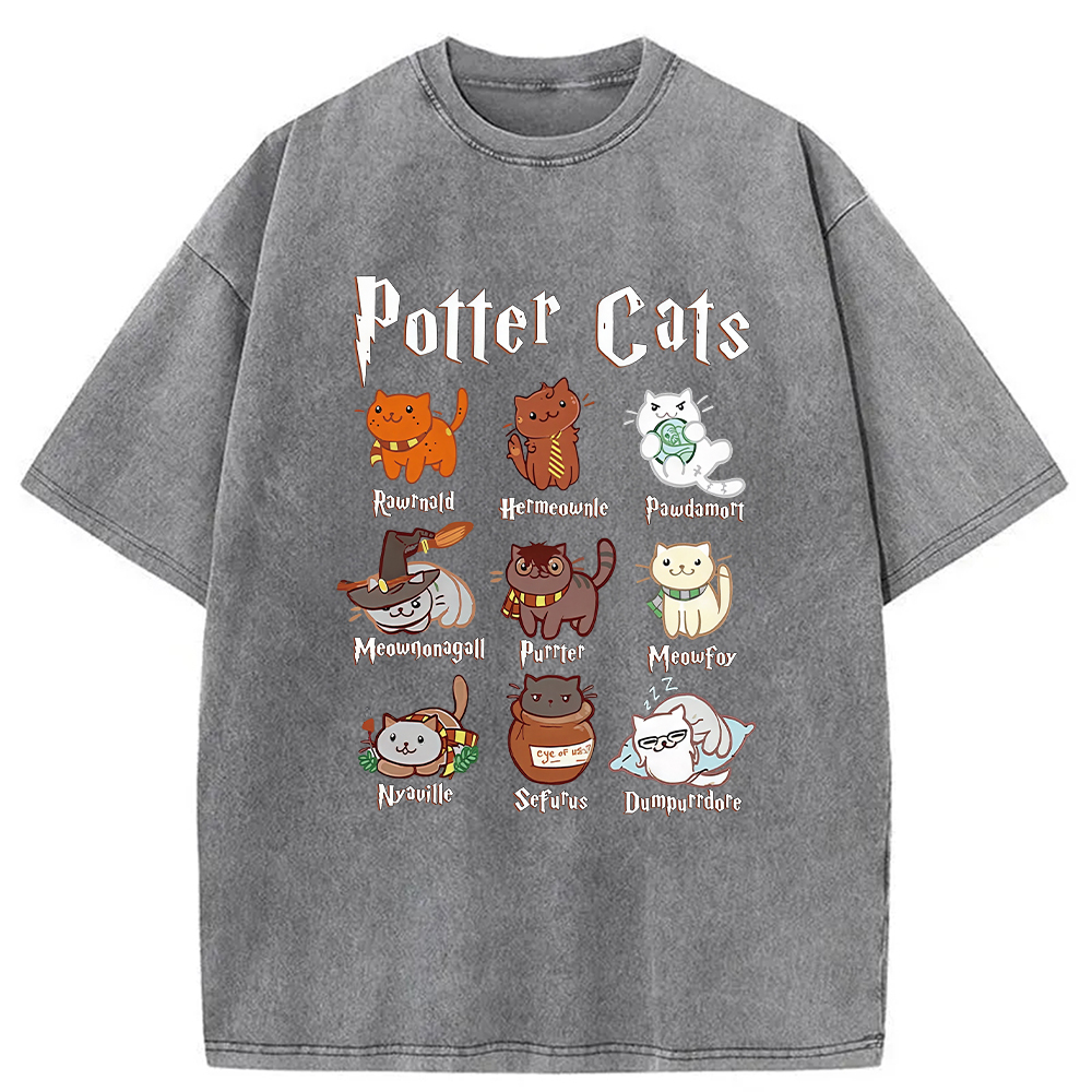 Modecanvas Wizard Cats Washed T-Shirt