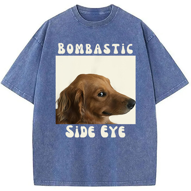 Modecanvas Bombastic Side Eye Funny Dog Meme Washed T-Shirt