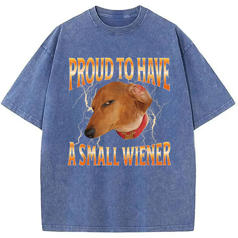 Modecanvas Funny Dog Meme Washed T-Shirt