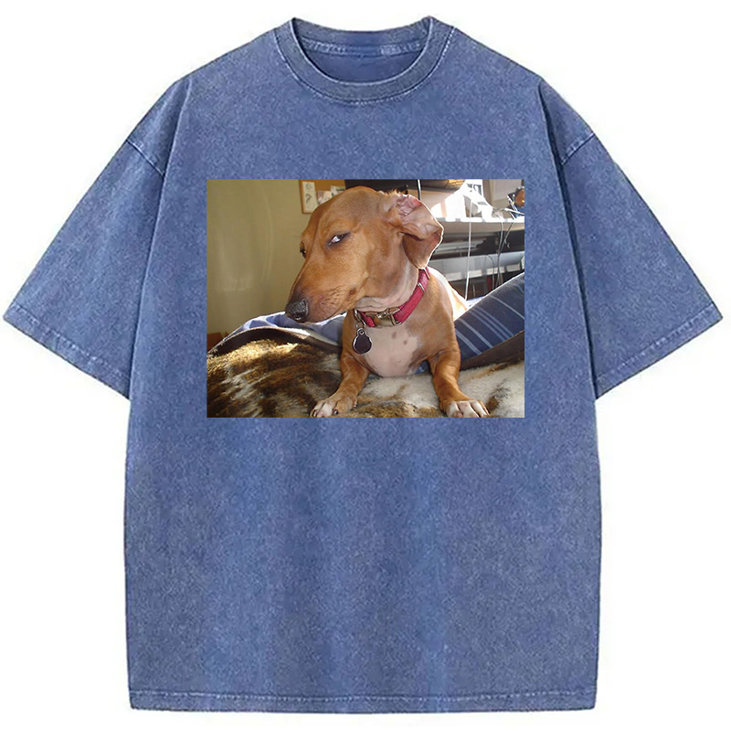 Modecanvas Side Eye Dog Meme Washed T-Shirt