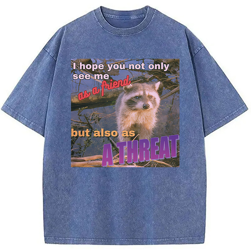 Modecanvas Viral Raccoon Meme Washed T-Shirt