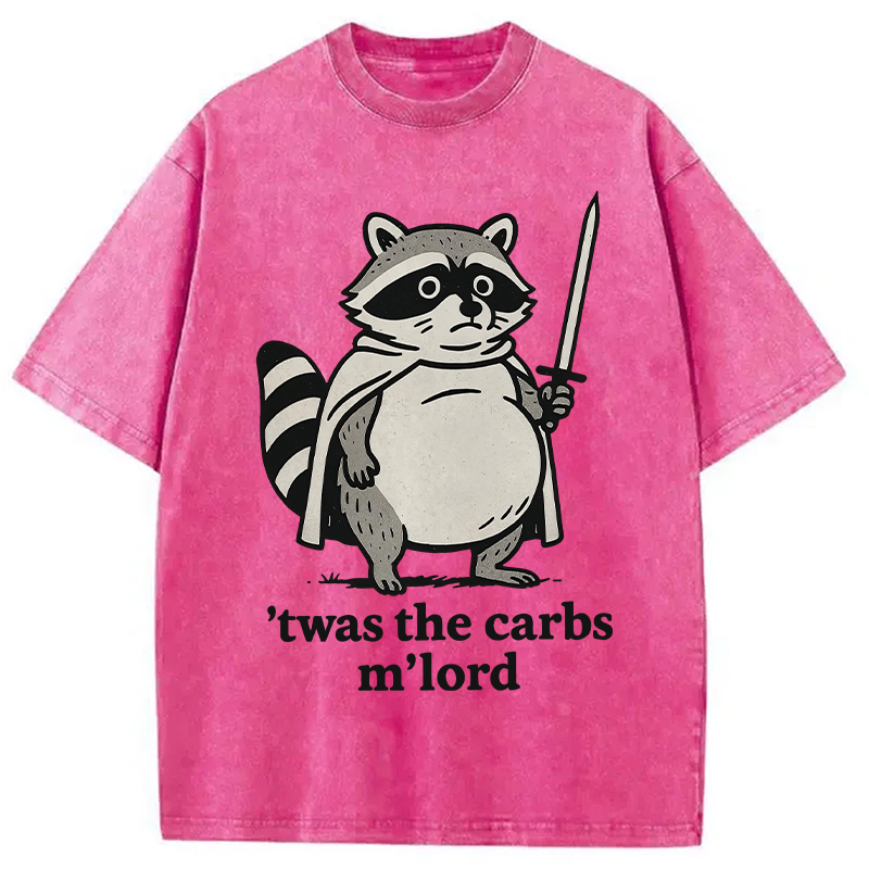 Modecanvas Fat Raccoon Sword Humor Washed T-Shirt