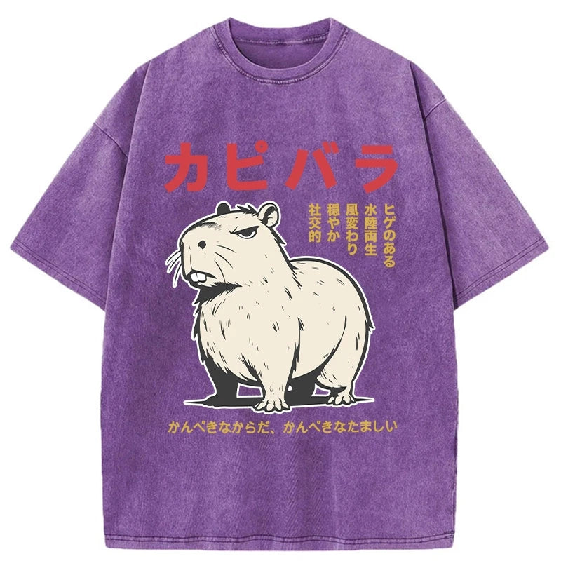 Modecanvas Angry Capybara Japan Washed T-Shirt