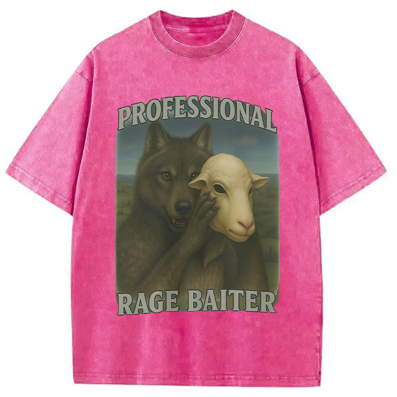 Modecanvas Professional Rage Baiter Funny Washed T-Shirt