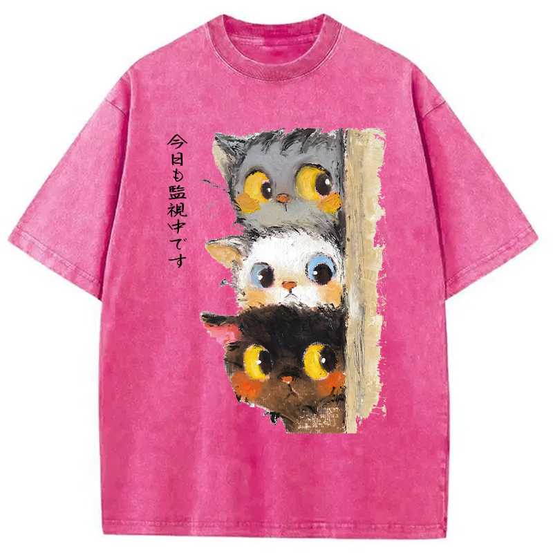 Modecanvas Three Cats Secretly Monitor Washed T-Shirt