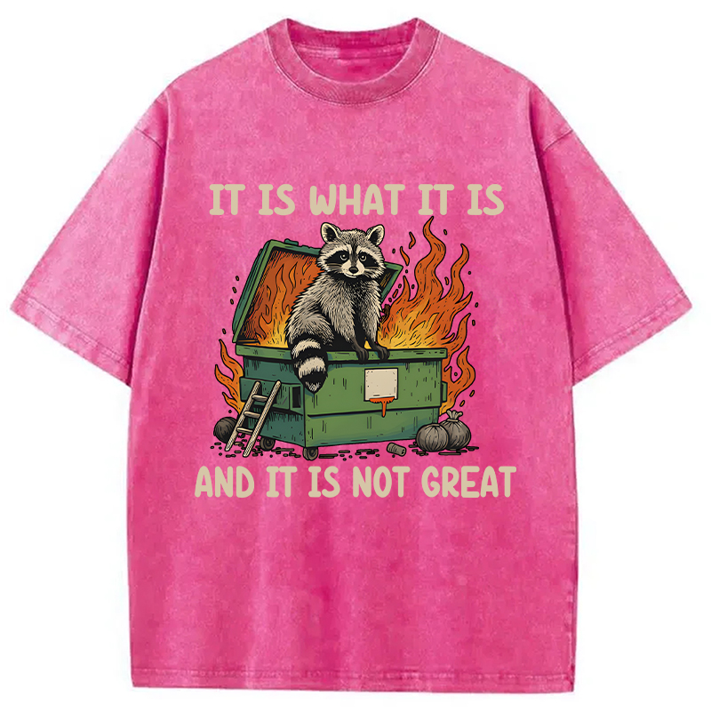 Modecanvas It Is What It Is Dumpster Fire Funny Raccoon Meme Washed T-Shirt