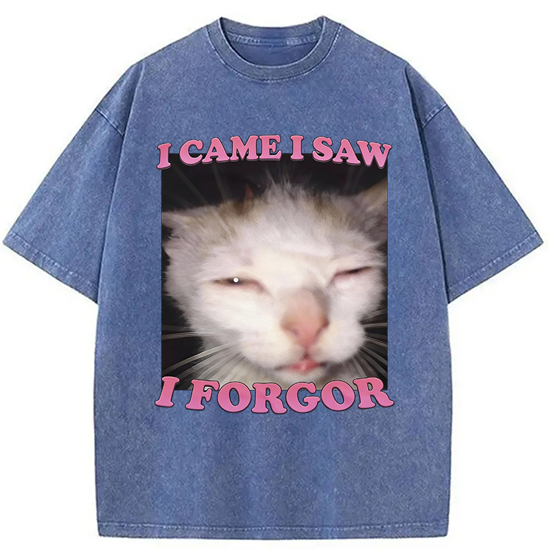 Modecanvas I Forgor Funny Cat Meme Washed T-Shirt-modecanvas