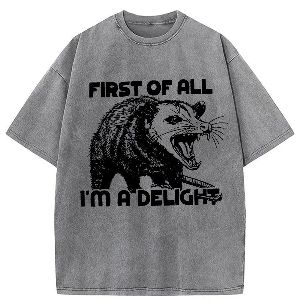 Modecanvas First of All Possum Washed T-Shirt