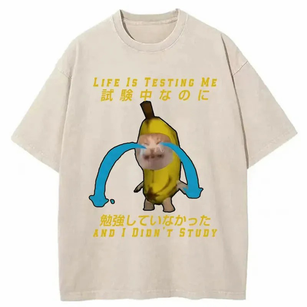 Modecanvas Cat Forced By Life Washed T-Shirt