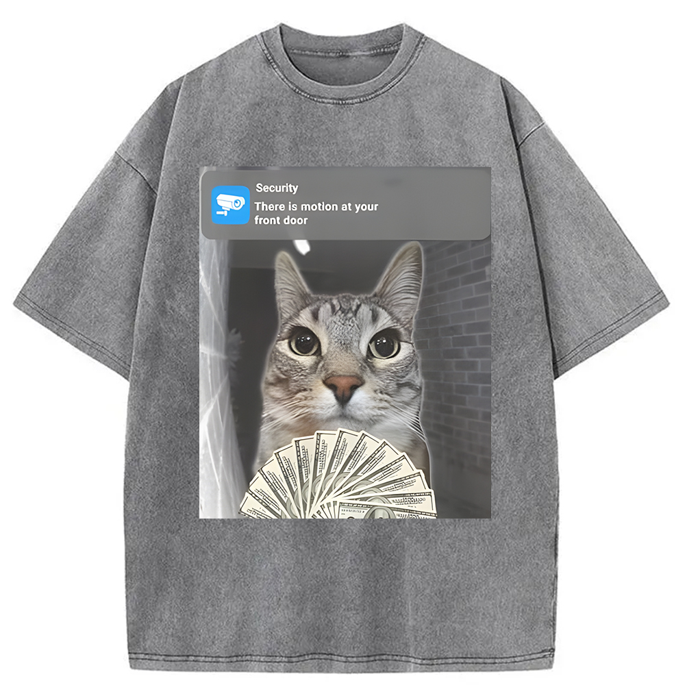 Modecanvas Ring Cat Meme Washed T-Shirt