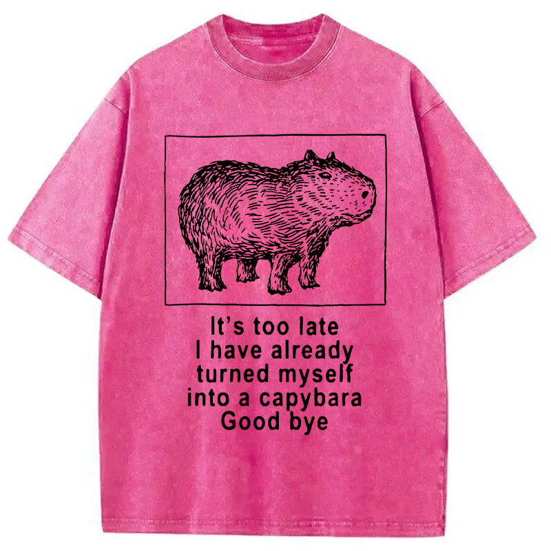 Modecanvas I Have Turned Myself Into A Capybara Washed T-Shirt-modecanvas
