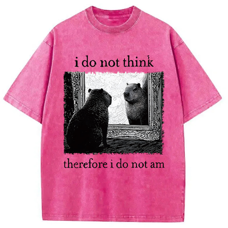 Modecanvas Capybara Paradox Washed T-Shirt