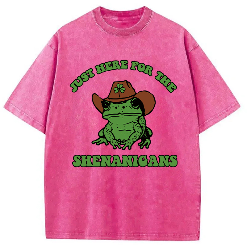 Modecanvas Here for the Shenanigans Washed T-Shirt