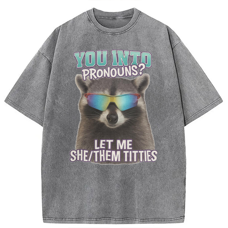 Modecanvas You Into Pronouns? Let Me She/Them Titt*es Raccoon DTG Printing Washed T-Shirt