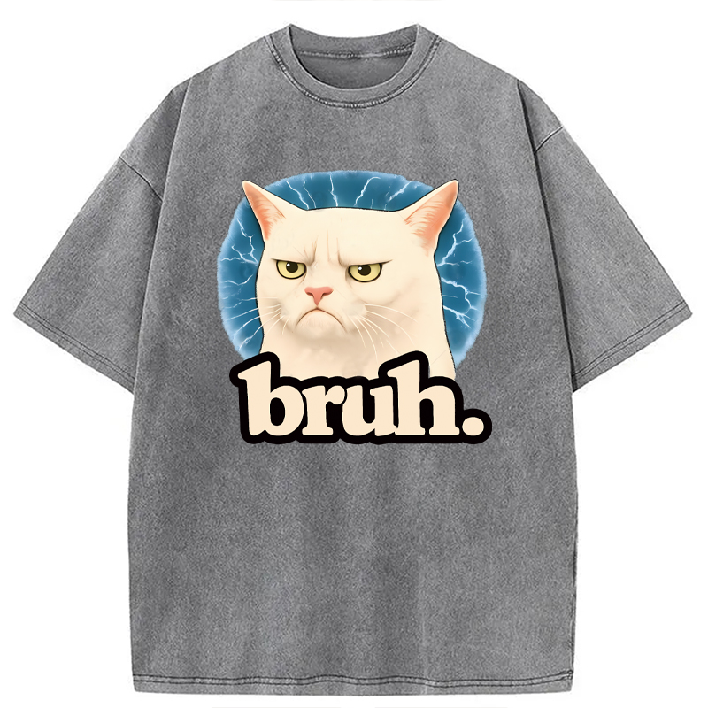 Modecanvas Bruh Cat Meme DTG Printing Washed T-Shirt