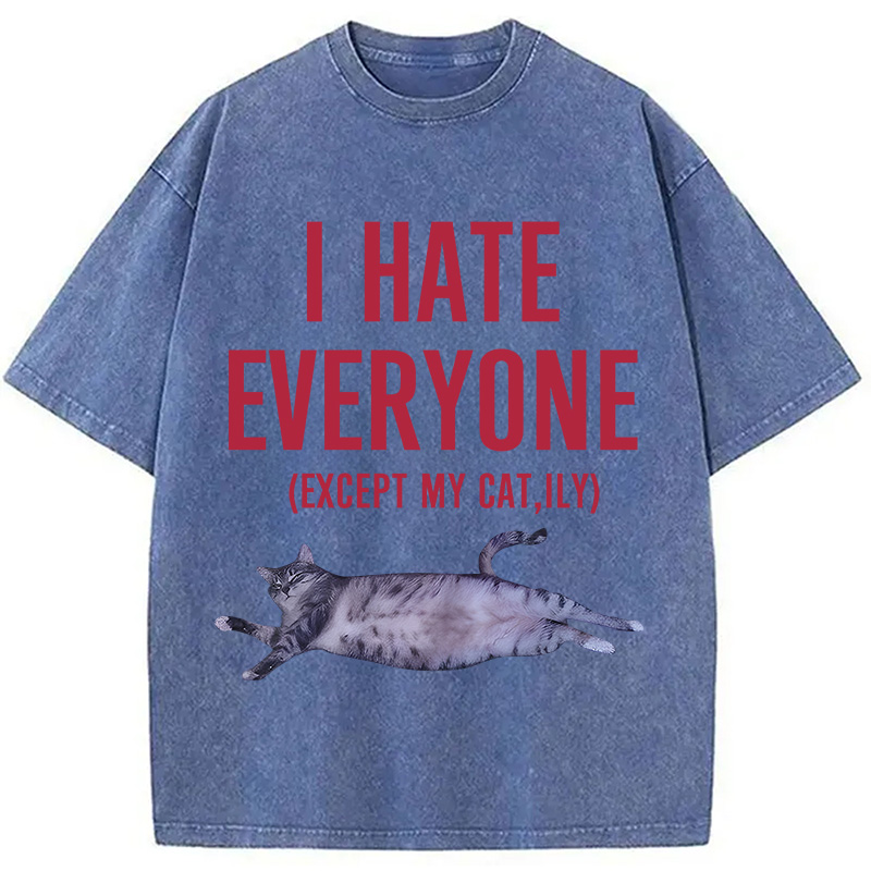 Modecanvas I Hate Everyone Cat Washed T-Shirt