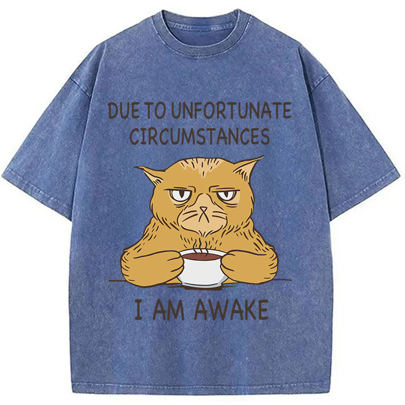 Modecanvas I Am Awake Cat Meme DTG Printing Washed T-Shirt