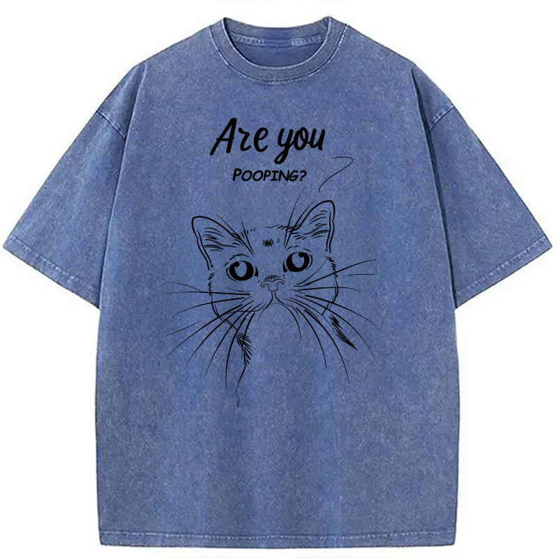 Modecanvas Black Cat Are You Pooping DTG Printing Washed T-Shirt