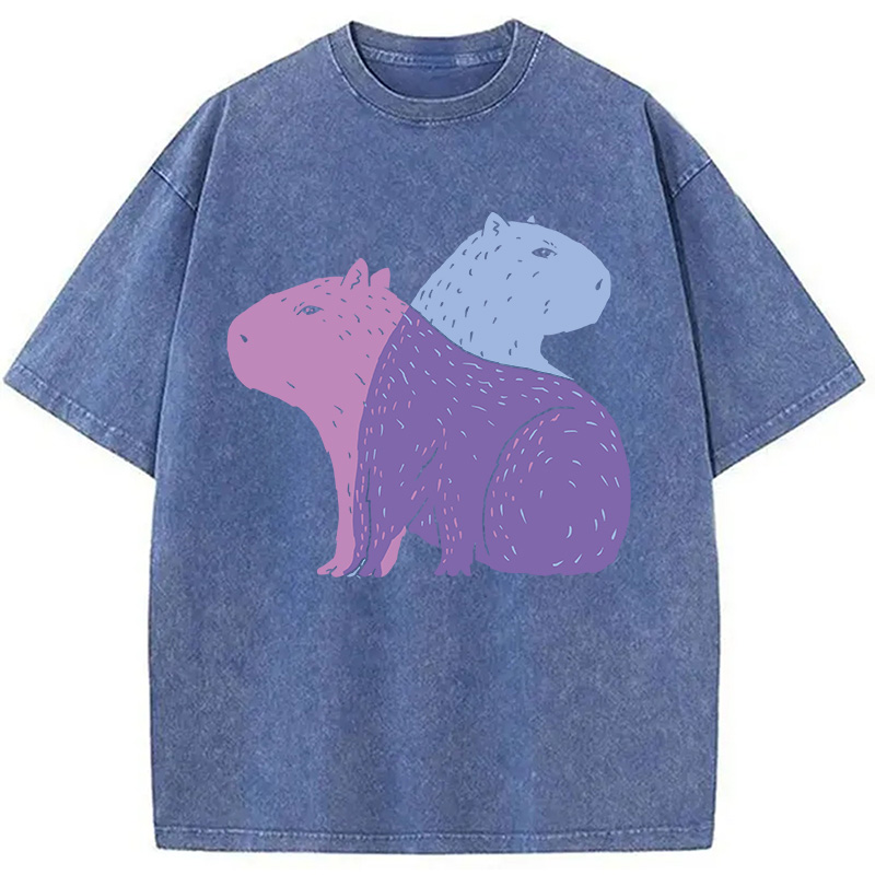 Modecanvas Double Capybaras DTG Printing Washed T-Shirt