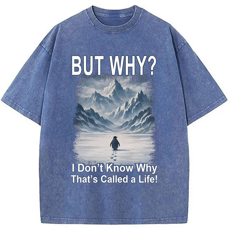 Modecanvas But Why Mountain Nihilist Penguin DTG Printing Washed T-Shirt-modecanvas